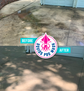 Driveway Cleaning Kansas City